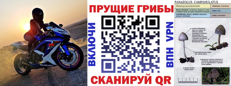 Купить Байкальск Галлюциногенные грибы MAGIC MUSHROOMS